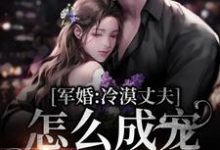 军婚:冷漠丈夫怎么成宠妻狂魔了小说完结版章节免费阅读-干果文学