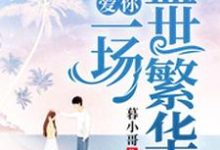 已完结小说《爱你,一场盛世繁华》在线章节阅读-干果文学
