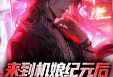 来到机娘纪元后,我杀疯了(苏年星辰)在线免费阅读-干果文学