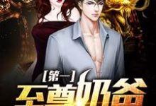 第一至尊奶爸这本小说在哪里可以看?哪里有免费试读章节?-干果文学