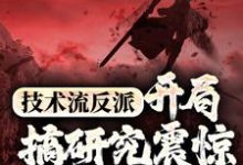 技术流反派:开局搞研究震惊万界主角免费阅读,技术流反派:开局搞研究震惊万界主角章节在线阅读-干果文学