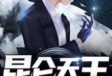 昆仑天王萧昆仑林柔小说在线章节免费阅读-干果文学