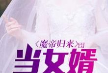 主人公陈进宋清颜南宫仙儿小说魔帝归来当女婿在线章节阅读-干果文学
