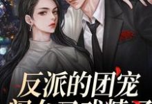 《反派的团宠闺女又戏精了》小说大结局免费试读 薄珠珠小说-干果文学