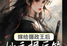 《嫁给摄政王后,她手握兵符颠覆朝纲》全集免费在线阅读( 林若幽萧晟)-干果文学
