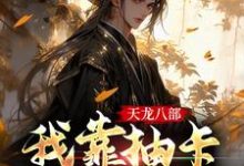 天龙八部:我靠抽卡解锁剧情免费阅读,天龙八部:我靠抽卡解锁剧情章节目录-干果文学