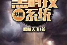 华夏黑科技系统小说,华夏黑科技系统章节在线阅读-干果文学