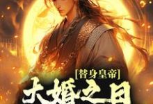 完结版《替身皇帝,大婚之日假戏真做了》章节阅读-干果文学