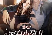 闪婚:家有小孕妻,爹系总裁日日哄免费阅读,闪婚:家有小孕妻,爹系总裁日日哄顾时澜江晚-干果文学
