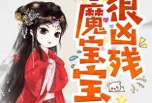 主角凌雪琪无夜小说完结版在线阅读,半魔宝宝很凶残免费看-干果文学