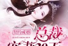 小说《契约成婚,总裁宠妻30天》章节阅读-干果文学