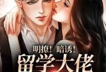 傅凡景安小说《明撩!暗诱!留学大佬他不怀好意》在线阅读-干果文学