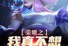 荣耀之我真不想打职业叶落林婉,荣耀之我真不想打职业小说免费阅读-干果文学