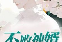 《不败神婿》小说大结局免费试读 叶秋唐雨欣严梦佳小说-干果文学