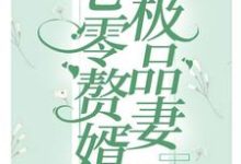 七零赘婿极品妻小说最新章节在哪里可以读到?-干果文学