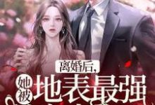 离婚后,她被地表最强首富表白了小说的最新章节在哪里更新?免费追踪阅读-干果文学