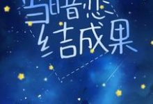当暗恋结成果最新章节,当暗恋结成果免费阅读-干果文学