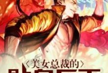 美女总裁的贴身兵王小说完结版章节免费阅读-干果文学