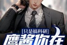 只是搞科研,鹰酱你在怕什么?苏晨陆婉兮,只是搞科研,鹰酱你在怕什么?章节在线阅读-干果文学