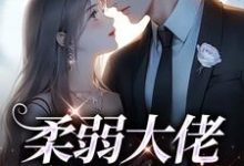 柔弱大佬白切黑后小说,柔弱大佬白切黑后章节在线阅读-干果文学