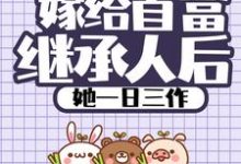 主角叫 穆乐乐晏习帛小说嫁给首富继承人后,她一日三作章节免费阅读-干果文学
