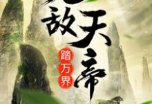 无敌天帝踏万界小说完结版章节免费阅读-干果文学