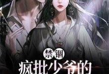 已完结小说《禁锢:疯批少爷的笼中雀又矫又魅》章节在线阅读-干果文学