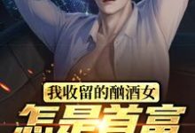 我收留的酗酒女,怎是首富继承人?免费阅读,我收留的酗酒女,怎是首富继承人?林海-干果文学