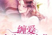 缠爱:今生,要定你孟聿川舒渺,缠爱:今生,要定你小说免费阅读-干果文学