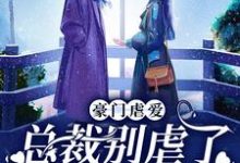 祁愿徐晏清为主角的小说好看吗?求豪门虐爱:总裁别虐了,夫人已婚了免费试读-干果文学