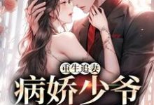 重生追妻:病娇少爷他超爱小说的无弹窗阅读体验,寻找免费阅读网站-干果文学