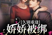 久别重逢:娇娇被绑去了民政局宋煜北向枳小说在线章节目录阅读最新章节-干果文学