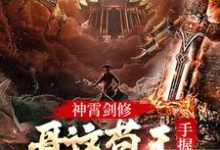 神霄剑修:哥这苟王手握七剑成最强这本小说在哪里可以看?哪里有免费试读章节?-干果文学