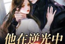 他在逆光中告白苏韵祁征在线章节免费阅读-干果文学