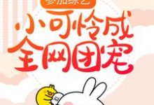 主角顾萌萌夏天小说参加综艺:小可怜成全网团宠免费阅读-干果文学