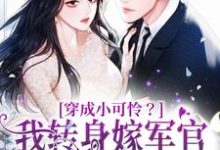 穿成小可怜?我转身嫁军官好孕连连周婷婷,穿成小可怜?我转身嫁军官好孕连连在线无弹窗阅读-干果文学