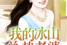 我的冰山总裁老婆小说最新章节在哪里可以读到?-干果文学