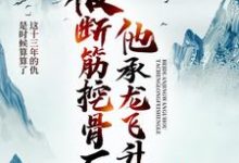 被断筋挖骨后,他承龙飞升了小说全文哪里可以免费看?-干果文学