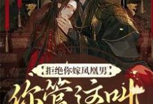 拒绝你嫁凤凰男,你管这叫恶人?章节免费在线阅读,阮云罗完结版-干果文学