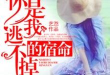 顾泽南是哪本书的主角?你是我逃不掉的宿命免费读-干果文学