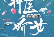 神医娇女涅槃而生小说,神医娇女涅槃而生最新章节-干果文学