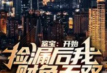 鉴宝:开始捡漏后我财色无双小说的所有章节都能在哪里免费读到?-干果文学