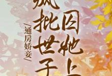 想读苏婳靳珩的故事,哪里可以免费找到通房娇妾,疯批世子囚她上瘾?-干果文学