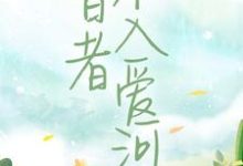 智者不入爱河陈念徐晏清小说在线章节免费阅读-干果文学