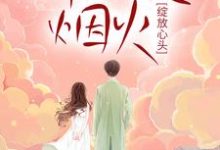 贺沧澜蓝蝶小说《那一夜烟火,绽放心头》在线阅读-干果文学