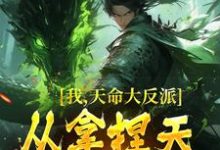 男女主人公紫霄小说我,天命大反派,从拿捏天道开始章节免费阅读-干果文学