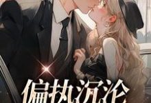 完结版《偏执沉沦:学长,晚上见》章节目录在线阅读-干果文学