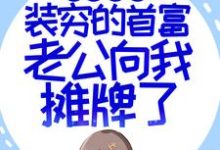 闪婚超甜:装穷的首富老公向我摊牌了小说,闪婚超甜:装穷的首富老公向我摊牌了在线阅读-干果文学