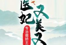 医妃又美又飒,专治傲娇王爷魏紫风澹渊,医妃又美又飒,专治傲娇王爷小说免费阅读-干果文学