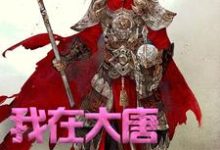 我在大唐卖军火小说,我在大唐卖军火在线阅读-干果文学